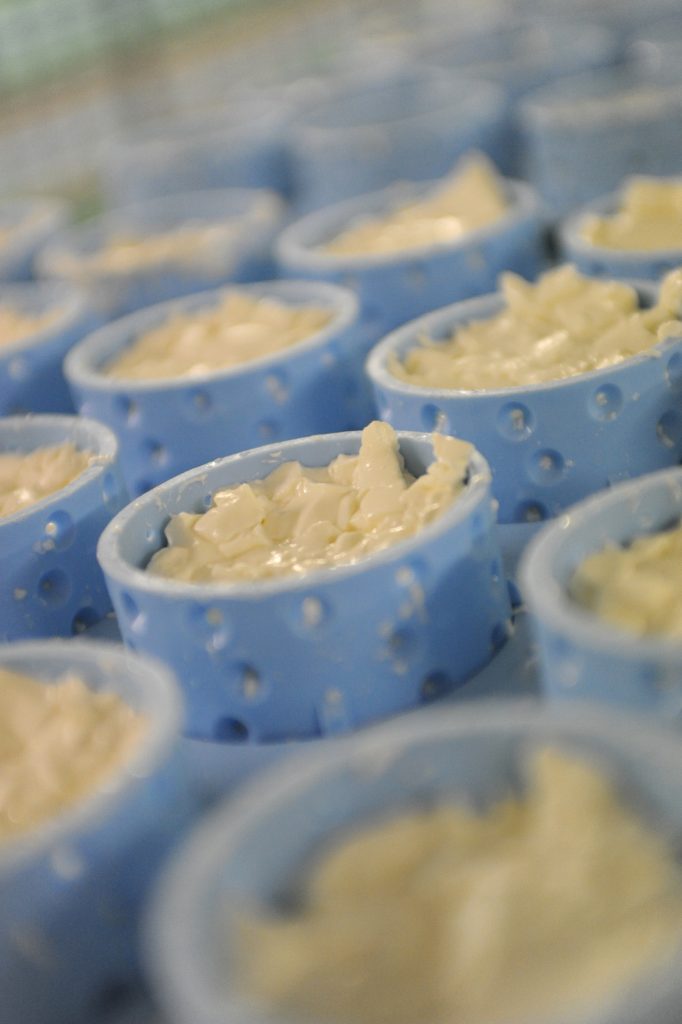 Des fromages en train d'égouter dans un moule.